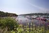 Premier Marinas has been granted planning permission to redevelop Noss on Dart Marina