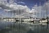 Customer service pays off at Gosport and Falmouth marinas
