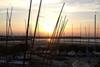sail boats
