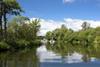 The Norfolk Broads Photo: flickr