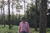 Neil Wason is offering EUTR compliant teak