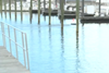 Nanotechnology is being used to tackle algae blooms in a Florida marina