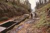 More work on the Shropshire Union Canal’s Woodseaves Cutting will cost £300,000 – photo: Waterway Images