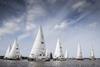 This year's Clipper Round the World Yacht Race has more participants than ever before