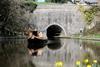 Extensive underwater repairs are needed on the Chirk and Whitehouse tunnels – photo: Waterway Images