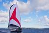 Rolly Tasker Sails has released a new sail, the Code C Photo: Rolly Tasker Sails