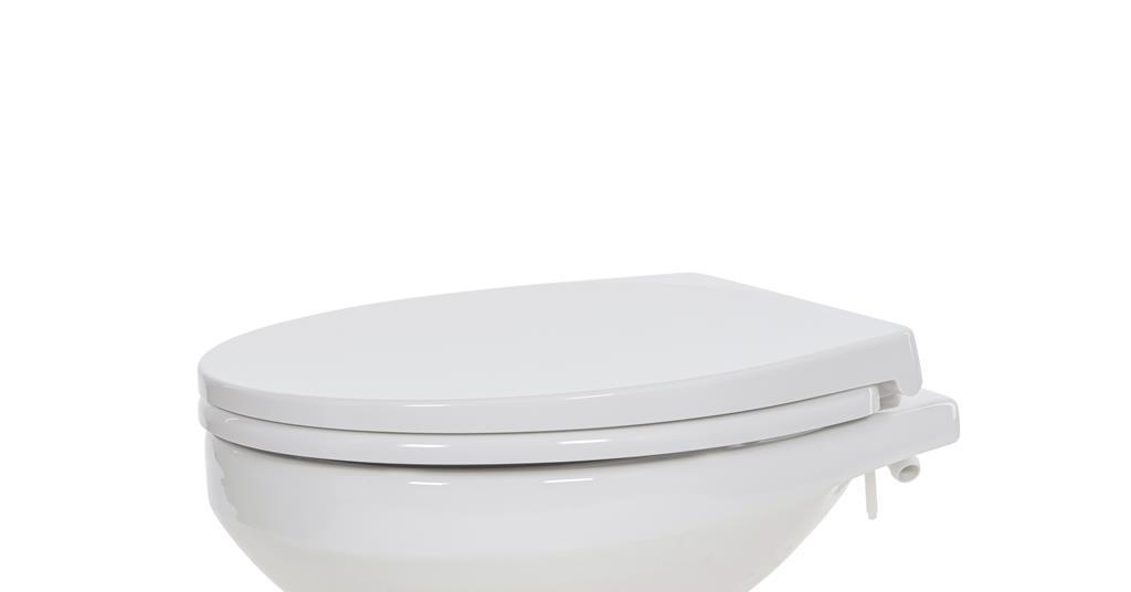 Melodic core Dominant Electric marine toilet launches | News | Boating Business